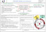 write your professional iso 9001 quality manual, qms
